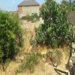 Satılır 2 otaqlı Bağ evi, Saray, Abşeron rayonu 1