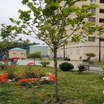 Satılır 2 otaqlı Yeni Tikili Sumqayıt 3