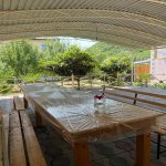 Kirayə (günlük) 4 otaqlı Həyət evi/villa Qax 5