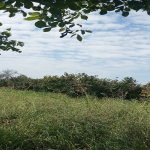 Satılır Torpaq Xaçmaz / Xudat 5