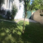 Kirayə (günlük) 3 otaqlı Həyət evi/villa Qəbələ 12