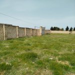 Satılır Torpaq, Novxanı, Abşeron rayonu 5