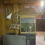 Kirayə (aylıq) Obyekt, Memar Əcəmi metrosu, 9-cu mikrorayon, Binəqədi rayonu 5