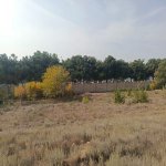 Satılır Torpaq, Saray, 28 Mall, Abşeron rayonu 2