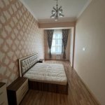 Kirayə (aylıq) 1 otaqlı Yeni Tikili, 28 May metrosu, Nəsimi rayonu 5