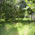 Kirayə (günlük) 3 otaqlı Həyət evi/villa Qusar 14