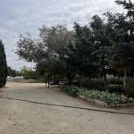 Satılır Torpaq, Novxanı, Abşeron rayonu 8
