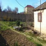 Satılır Torpaq, Novxanı, Abşeron rayonu 7