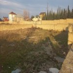 Satılır Torpaq, Novxanı, Abşeron rayonu 5