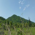 Satılır Torpaq Quba 3