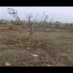 Satılır Torpaq, Digah, Abşeron rayonu 2