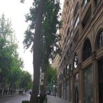 Satılır 3 otaqlı Köhnə Tikili, 28 May metrosu, Nəsimi rayonu 8