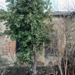 Satılır 5 otaqlı Həyət evi/villa, Bakıxanov qəs., Sabunçu rayonu 3