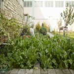 Satılır 5 otaqlı Həyət evi/villa, Masazır, Abşeron rayonu 18
