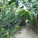 Satılır 3 otaqlı Həyət evi/villa, Əhmədli metrosu, Köhnə Günəşli qəs., Xətai rayonu 18