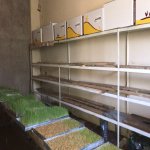 Satılır Obyekt, Qobu, Abşeron rayonu 14