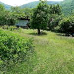 Satılır Torpaq Qax 1