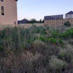 Satılır Torpaq, Novxanı, Abşeron rayonu 3