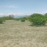 Satılır Torpaq Qəbələ 7