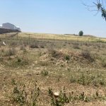 Satılır Torpaq, Azadlıq metrosu, 6-cı mikrorayon, Binəqədi rayonu 2