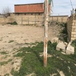 Satılır Torpaq, Saray, Abşeron rayonu 9