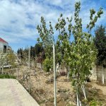 Kirayə (aylıq) 5 otaqlı Həyət evi/villa, Novxanı, Abşeron rayonu 5