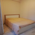 Kirayə (aylıq) 2 otaqlı Yeni Tikili, Nəriman Nərimanov metrosu, Nərimanov rayonu 12