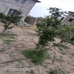 Satılır 5 otaqlı Həyət evi/villa, Sabunçu qəs., Sabunçu rayonu 3