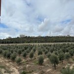 Продажа 4 комнатная Дома/Виллы, м. Ази Асланова метро, Хетаи район 28