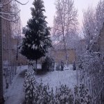 Kirayə (günlük) 4 otaqlı Həyət evi/villa Quba 35