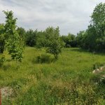 Satılır Torpaq Tərtər 14