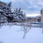 Kirayə (aylıq) 7 otaqlı Həyət evi/villa, Badamdar qəs., Səbail rayonu 20