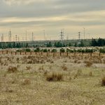 Satılır Torpaq, Zığ qəs., Suraxanı rayonu 13