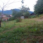 Satılır Torpaq Qəbələ 2