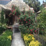 Kirayə (aylıq) 8 otaqlı Həyət evi/villa, Mərdəkan, Xəzər rayonu 14