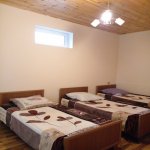 Kirayə (günlük) 4 otaqlı Bağ evi Qəbələ 9