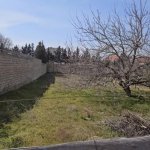 Satılır Torpaq, Novxanı, Abşeron rayonu 3
