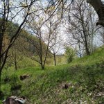 Satılır 3 otaqlı Həyət evi/villa İsmayıllı 29