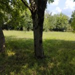 Продажа Участок Гябяля 14