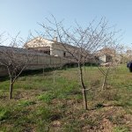 Satılır Torpaq, Mehdiabad, Abşeron rayonu 3