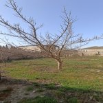 Satılır 3 otaqlı Həyət evi/villa, Buzovna, Xəzər rayonu 19