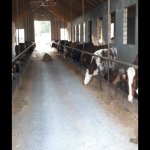Продажа Объект Хачмаз 53