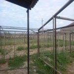 Satılır Torpaq, Maştağa qəs., Sabunçu rayonu 9