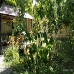 Kirayə (günlük) 3 otaqlı Həyət evi/villa İsmayıllı 10