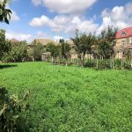 Satılır Torpaq, Maştağa qəs., Sabunçu rayonu 3