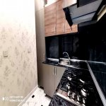 Satılır 2 otaqlı Yeni Tikili, Qara Qarayev metrosu, Nizami rayonu 14