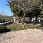 Аренда Центры Отдыха, Абшерон район 5