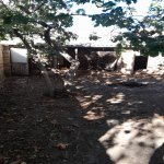 Kirayə (aylıq) 2 otaqlı Bağ evi Sumqayıt 3
