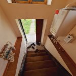 Kirayə (günlük) 3 otaqlı Həyət evi/villa Qəbələ 11