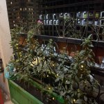 Аренда 3 комнатная Новостройка, м. Хетаи метро, Белый город, Хетаи район 5